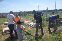 صور: لجنة اكرام الميت في يافا تُنظم حملتها الشهرية لتنظيف مقبرة طاسو 